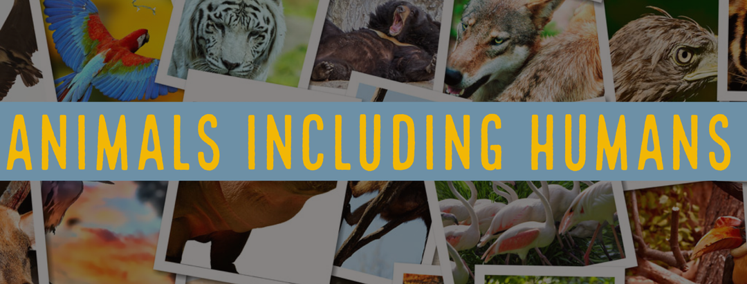 Animals Including Humans - MR P ICT ONLINE CPD
